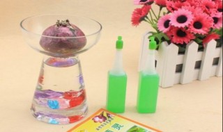 营养液怎么浇花 浇花流程分享