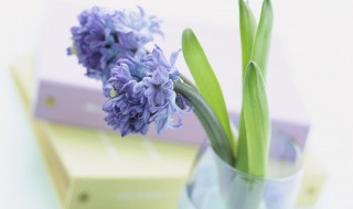 独一无二文案短句 霸气十足的文案