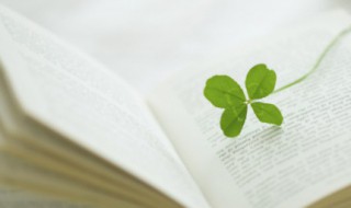 80后的感慨句子 我们可怜的80后感叹