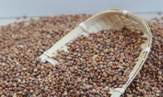 高粮的营养价值及功效 自古有什么样的美誉