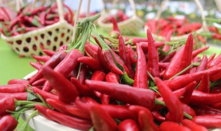 辣椒夏季怎么保存 辣椒的保存方法