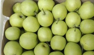 皇冠青梨怎么保存 保存皇冠青梨的方法