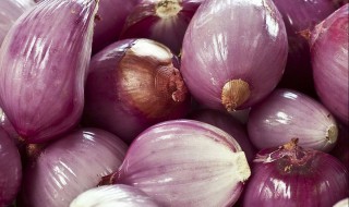 圆葱怎么样保存 圆葱保存的方法