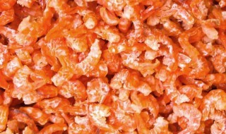 保存虾米的方法 虾米怎么保存