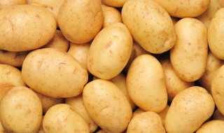 夏天储存土豆的方法 夏天如何储存土豆