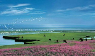 中国四大淡水湖是哪四个 什么是四大淡水湖