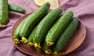 腌黄瓜咸菜的正宗方法 腌黄瓜咸菜的方法介绍