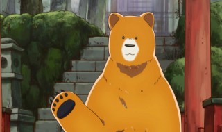 对付熊最好的方法 对付熊最好的方法是什么