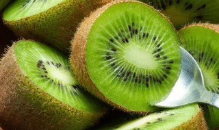 猕猴桃如何催熟 催熟猕猴桃的方法
