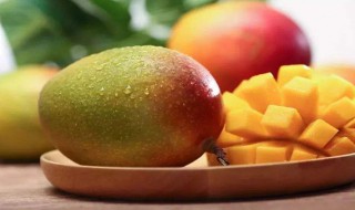 芒果怎么种盆栽 芒果盆栽的种法