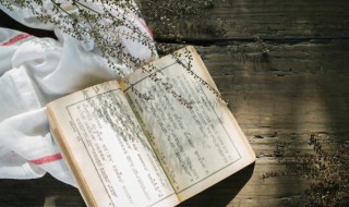 咏雪原文及翻译 作者是谁