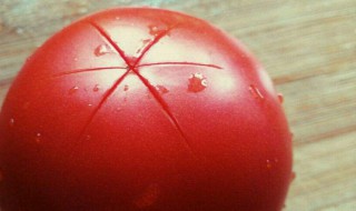 西红柿怎么去皮 西红柿去皮的方法