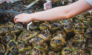 大闸蟹产地 这三处产地最出名