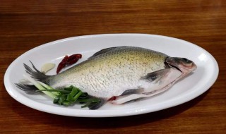 糖醋鳊鱼的家常做法窍门 糖醋鳊鱼的做法和窍门