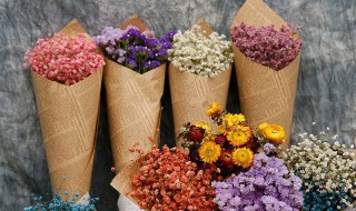 花草怎么干燥保存 干花如何保存
