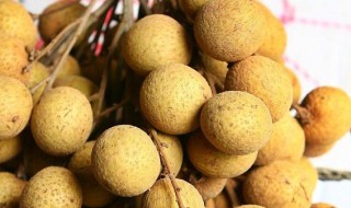 红枣桂圆怎么保存 保存枣和桂圆的方法