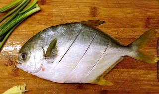 鱼怎么做的鲜嫩 怎么做