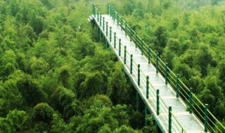 安吉旅游必去的景点 安吉旅游推荐的景点简述