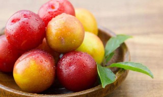 杏李酒怎么做 制作的步骤都有什么