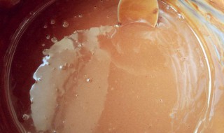 怎么做明胶水 明胶怎样制作