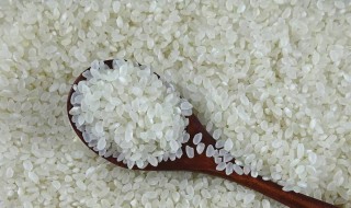 米怎么做不生虫 米不生虫方法介绍