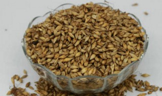 炒麦芽怎么做啊 炒麦芽方法介绍