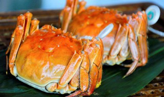 阳澄湖大闸蟹夜捕方法 分别都有什么不同的办法