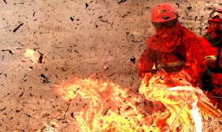 灭火器灭火的最佳位置是哪里 灭火器灭火的最佳位置简述