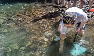 夜晚捉虾方法 需要准备什么材料呢