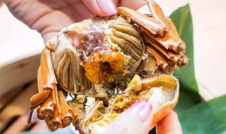 大螃蟹怎么杀步骤 大螃蟹如何杀