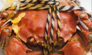 大闸蟹如何煮才不老 大闸蟹的做法