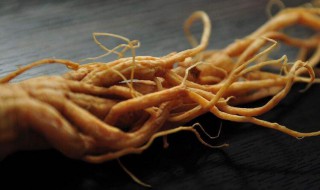 吃人参的十大禁忌 吃人参的禁忌有哪些