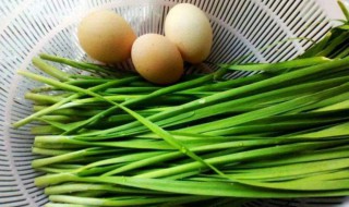 吃韭菜不宜吃什么 吃韭菜的注意事项