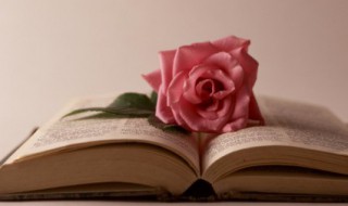 鲁迅说的寓意深厚的句子 如今看来仍字字戳心