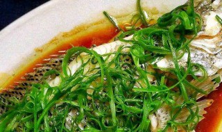 家庭清蒸鱼 做清蒸鱼的方法