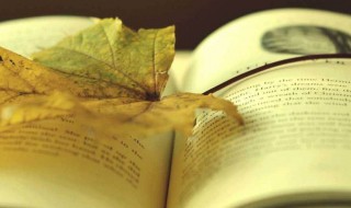 追风筝的人心得体会 追风筝的人心得体会范文