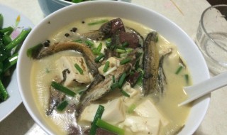 草鱼炖豆腐怎么做好吃 草鱼炖豆腐做法