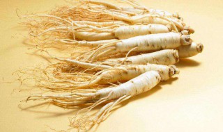 人参怎么煲汤 人参煲汤做法