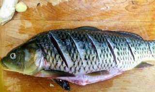 大黑斑鱼如何做才好吃 大黑斑鱼做法介绍