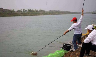 怎么做钓鱼钓子 有什么制作的步骤