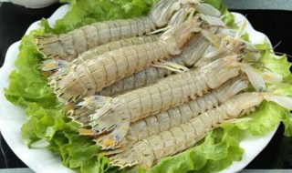 皮皮虾运输怎么保存 运输方法如下