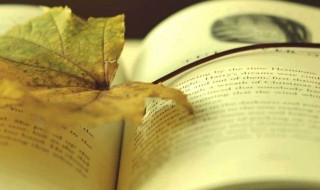 世说新语读书笔记 世说新语读书笔记列述