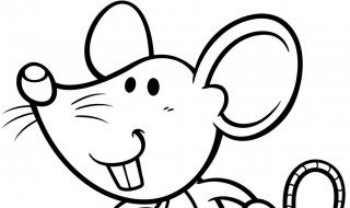 有什么最好的灭鼠方法 灭鼠有什么好方法