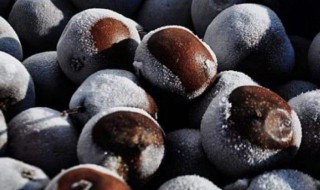 有什么速冻的方法 速冻的方法推荐