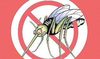 驱蚊啥方法好 驱蚊的方法