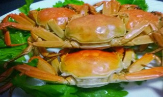 螃蟹怎样才能活的时间长 螃蟹活的时间长的保存方法