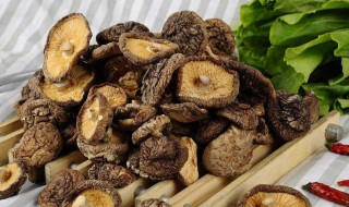 干蘑菇怎么保存 干蘑菇怎么保存时间长