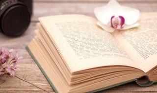 美文摘抄600字 美文摘抄范文欣赏