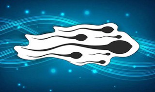怎么提高精子质量和活力 生活中要注意什么