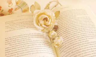 英语短句文案温柔治愈 英语短句文案温柔治愈有什么